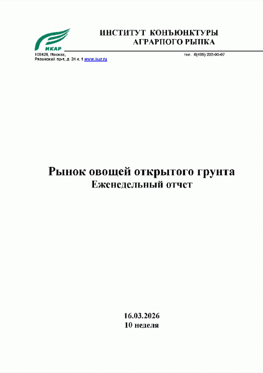 Новое поступление: Рынок овощей открытого грунта, 2026, N 16.03.2026 (10 нед.)