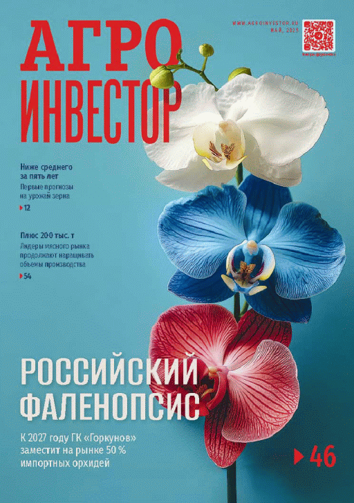 catalog-preview