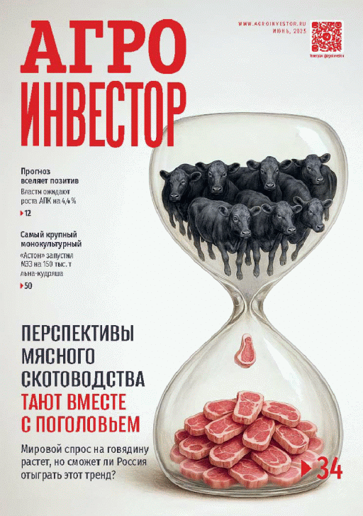 catalog-preview