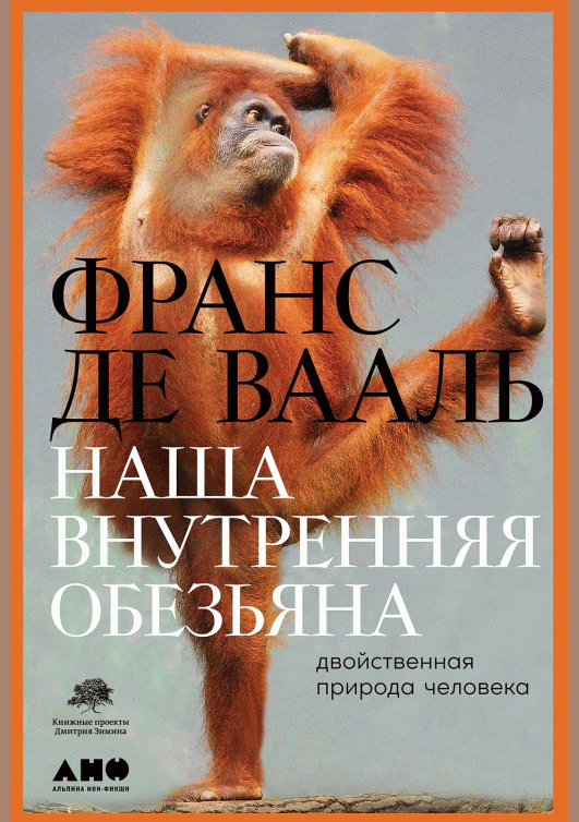catalog-preview