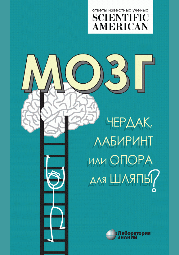 Новое поступление: Мозг